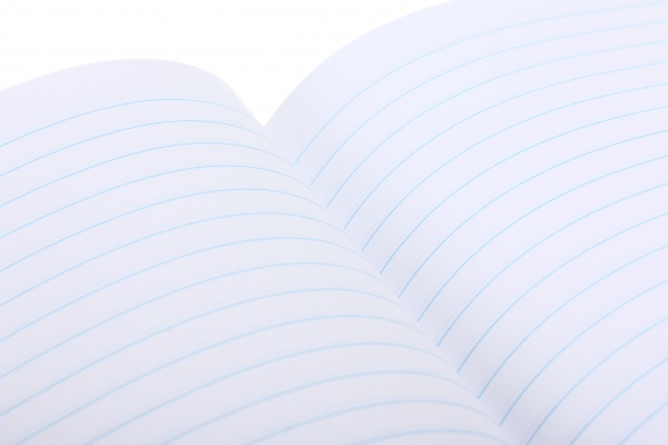 Тетрадь школьная уф-лак 18 листов в линейку в ассортименте Мечты сбываются