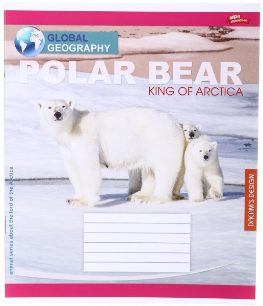 Тетрадь школьная 24 листа в линейку в ассортименте Мечты сбываются