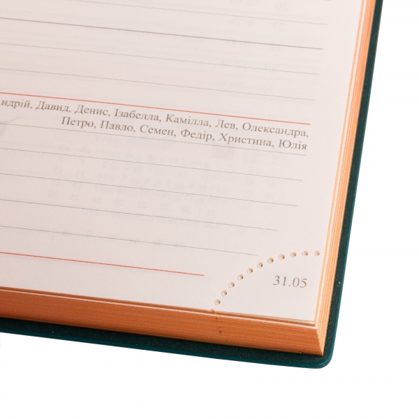 Щоденник датований Riviera градієнт 368 стор. Leo Planner Unique A5 2024