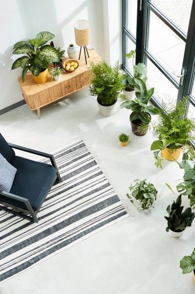 Вазон пластиковый Elho b.for original round 331511 круглый 13,1 л вишневый 