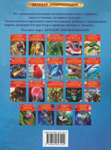 Книга «Киты и дельфины» 978-966-462-720-4