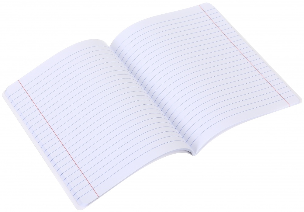 Зошит шкільний Українська мова 48 аркушів у лінійку Nota Bene