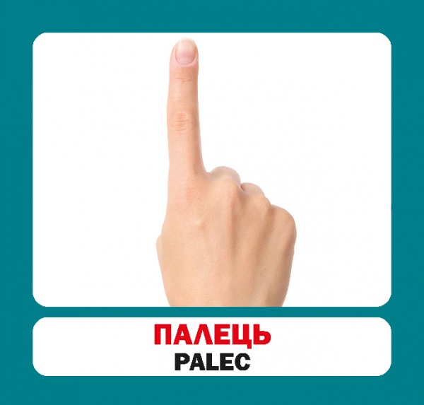 Книга «Частини тіла. Набір карток» 9786177686117