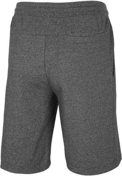 Шорти 4F H4L21-SKMD014-23P р. 3XL темно-сірий