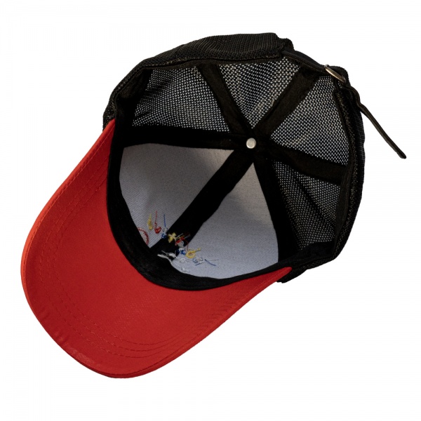 Кепка для мальчиков Девилон 3-8 лет р.48-54 черный 519018 