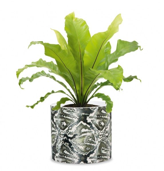 Кашпо керамічне Scheurich Inspiration 12