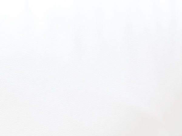 Ліжко з підйомним механізмом Embawood SHARM-6 160x200 см білий 