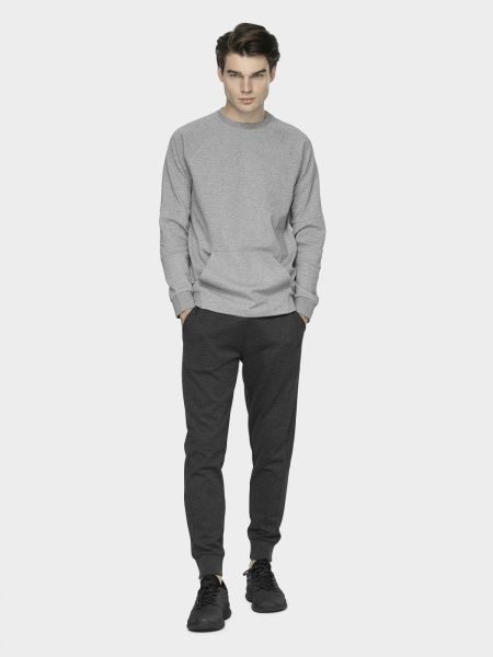 Світшот 4F D4Z20-BLM309-24M р. L сірий