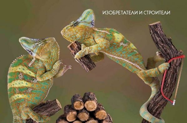 Книга «Животные – изобретатели и строители» 978-966-935-314-6