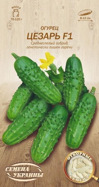 Насіння Семена Украины огірок Цезар F1 607300 0,5г