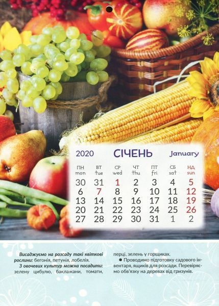 Календар «Світовид міні Місячний календар городника»