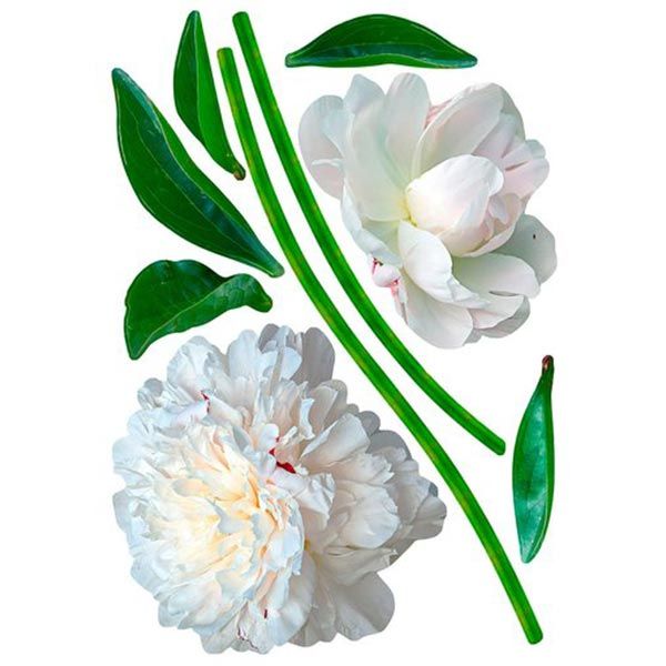 Декоративна наліпка Піони