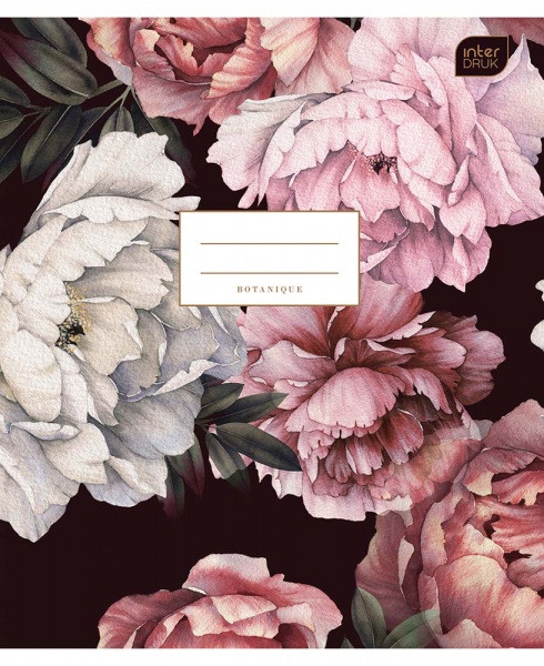 Тетрадь школьная А5 48 стр. клетка MIX в ассортименте InterDRUK