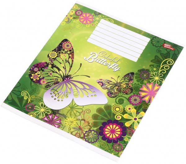 Тетрадь школьная 18 листов в линейку в ассортименте Мечты сбываются