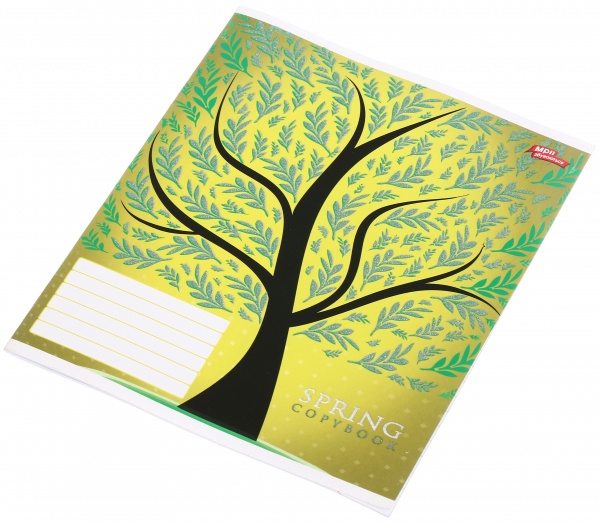 Тетрадь школьная с глитером 18 листов в линейку в ассортименте Мечты сбываются