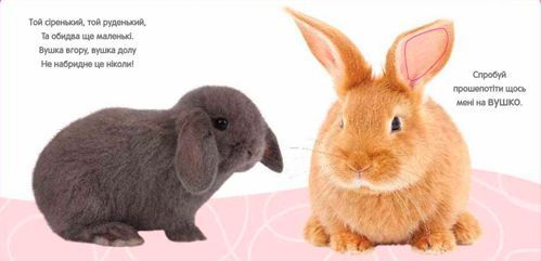 Книга «Кролик и его друзья» 978-966-948-089-7