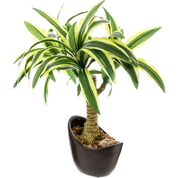 Штучна рослина Драцена 37 см