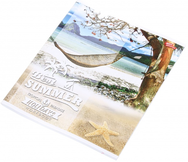 Тетрадь школьная 60 листов в линейку в ассортименте Мечты сбываются