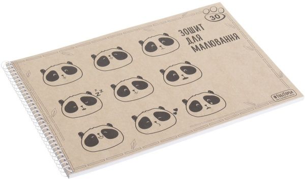 Тетрадь для рисования ЕКО 2 А4 30 листов Мечты сбываются