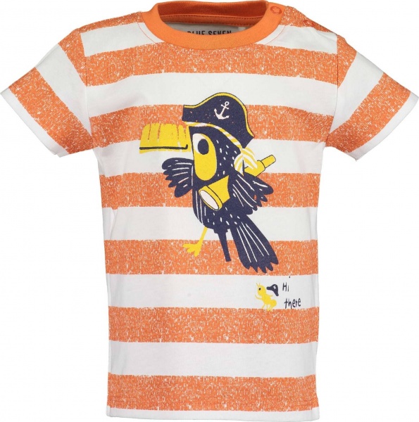 Футболка для мальчиков Blue Seven р.80 оранжевый 928118 X_265_р.80 