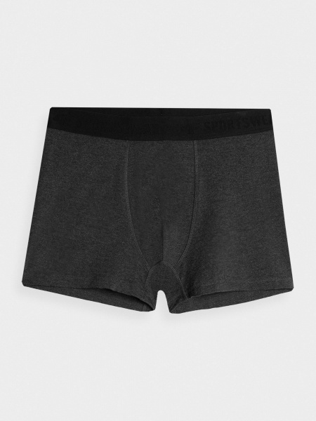 Труси 4F BOXER SHORTS M027 (2PACK) 4FAW23UBXSM027-90M р.XL сірий
