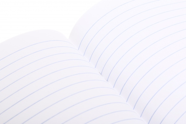 Тетрадь школьная 18 листов в линейку в ассортименте Мечты сбываются