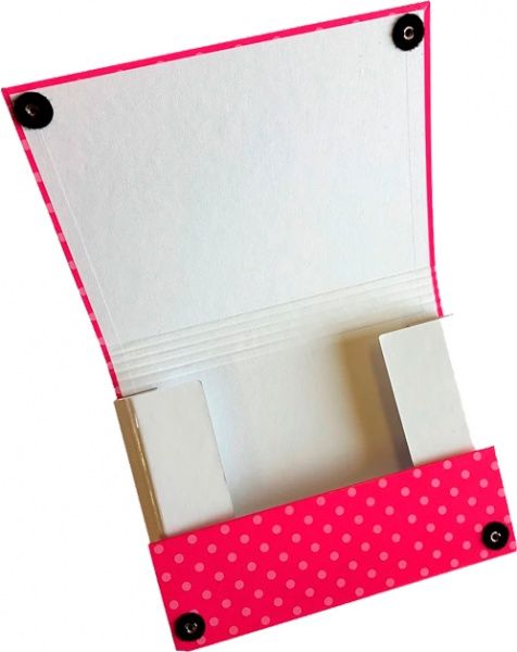 Папка для тетрадей Girls 312R\DG iTEM