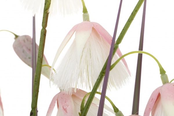 Растение искусственное Кортадерия в пластиковом горшке 84 см