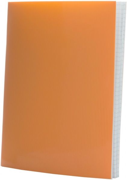 Зошит шкільний 48 аркушів в клітинку 5В048К-П01 Графіка