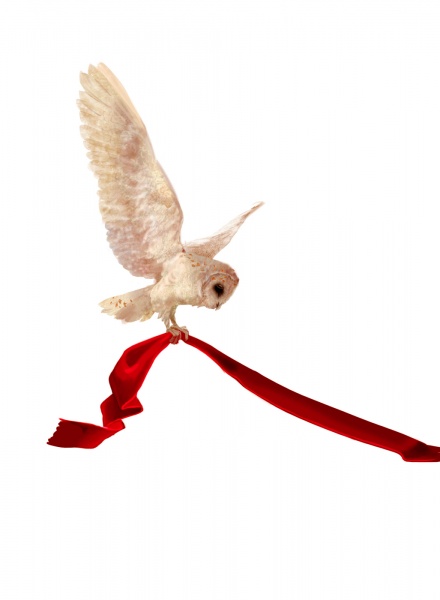 Книга Ганс Христіан Андерсен «Дюймовочка» 978-617-951-421-0