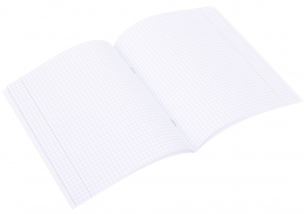 Тетрадь школьная Graffiti 24 листа клетка Nota Bene