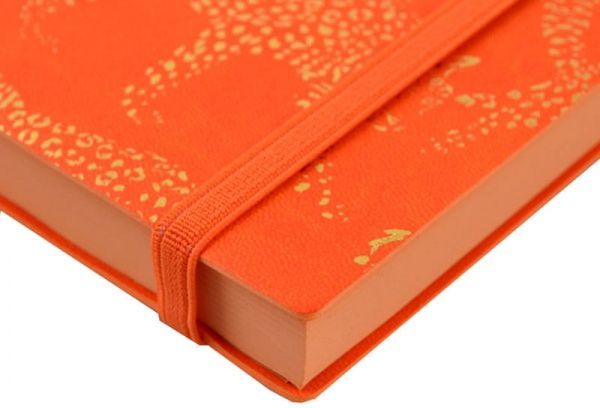 Щоденник Vivere А5 251985 YES