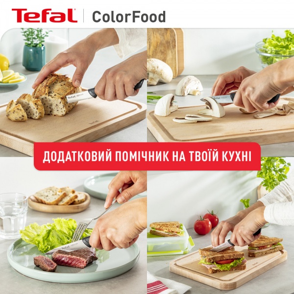 Набор ножей ColorFood 3 предмета K2733S04 Tefal