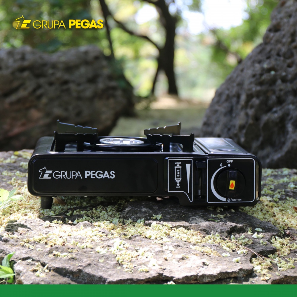 Плитка газовая Pegas Grupa пьезо 1900 Вт 1961