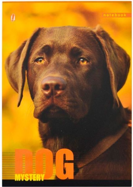 Книга для нотаток А5 60 YES