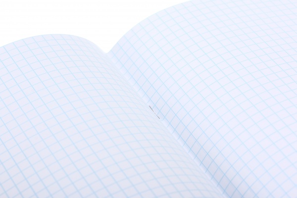 Тетрадь школьная уф-лак 18 листов в клеточку в ассортименте Мечты сбываются