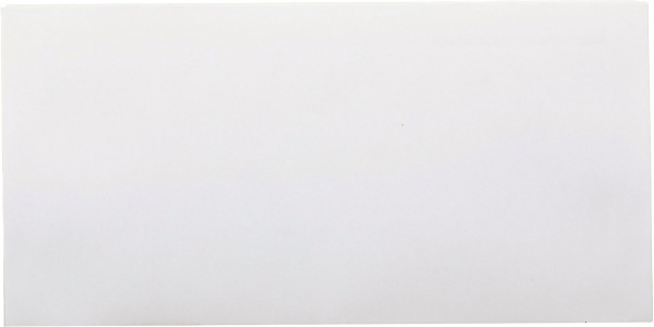 Конверт DL 110х220 мм самоклеящийся 80г/м2 белый 25 шт.