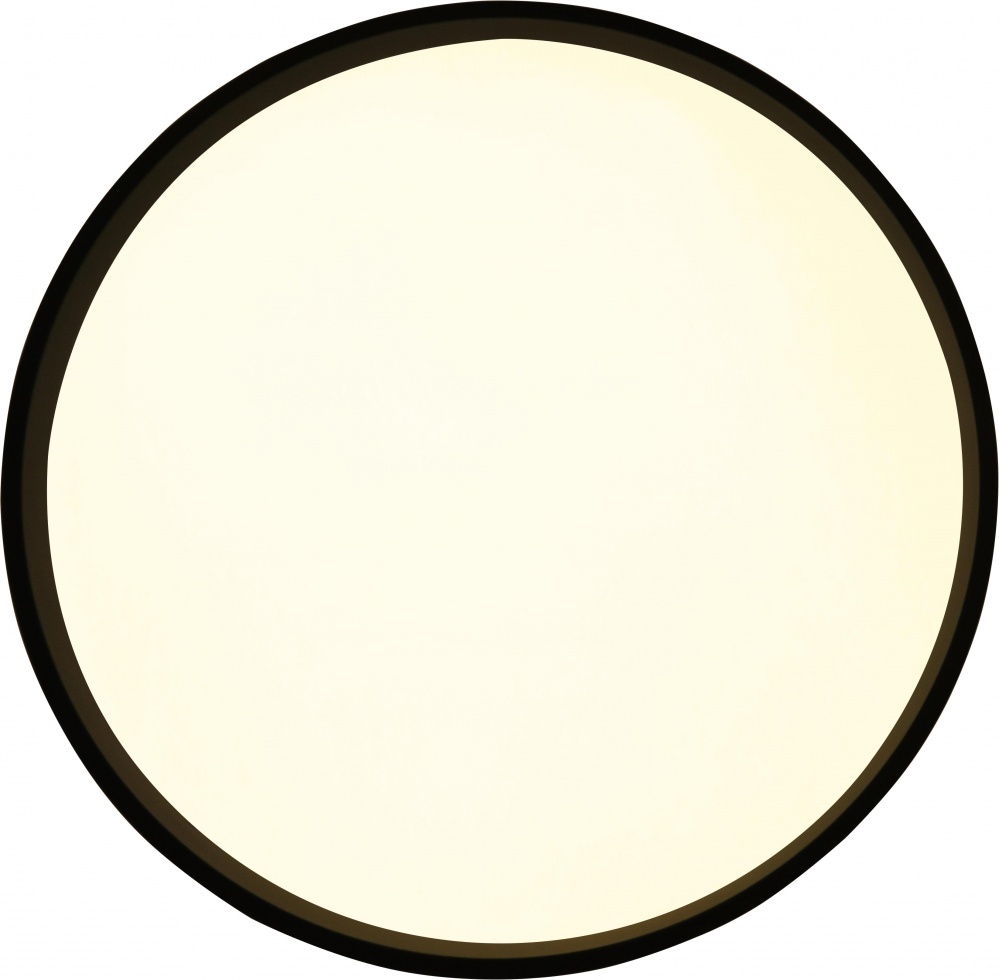 Світильник стельовий Sensio LED Isa 48 Вт білий із чорним 3000 - 6500 К AR-N250301396