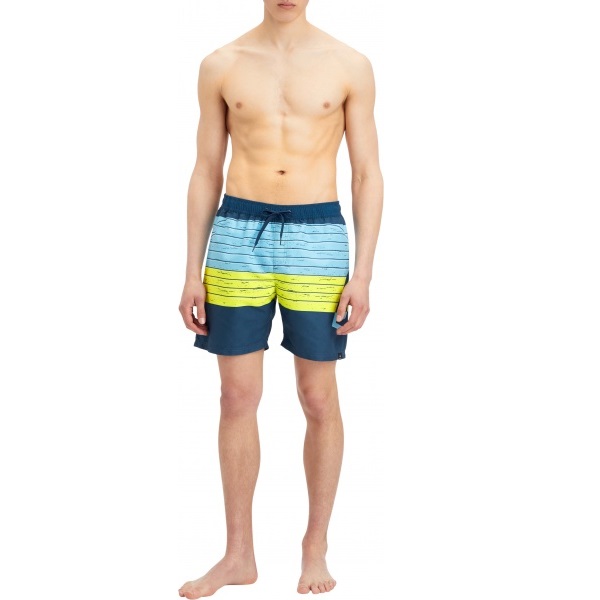 Шорты Firefly Kevin ux 302265-703 р. XL зеленый с синим