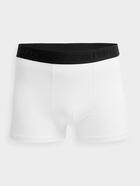 Труси 4F 4FSS23UBXSM022-92S XL /білий//сірий 2 шт.