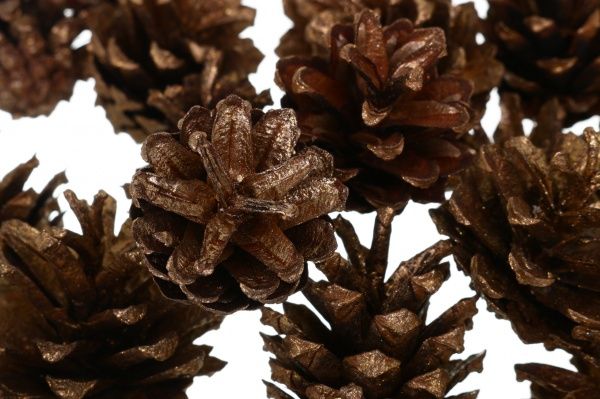 Декорація новорічна набір шишок з золотою присипкою EPI-EY36085-1 