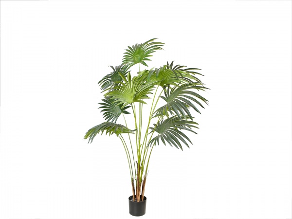 Дерево штучне Fan Palm (DW-28) Engard