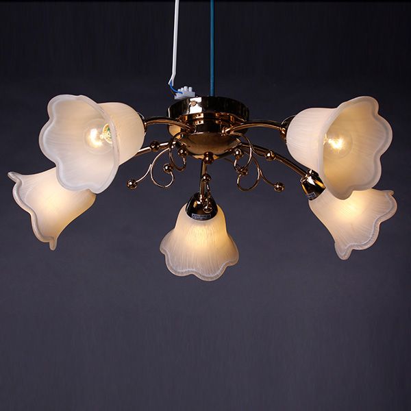 Люстра Accento Lighting Verona ALHu-HKC31238/5