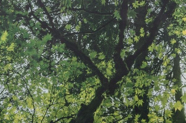 Картина Зелений ліс 113x85 см Styler 