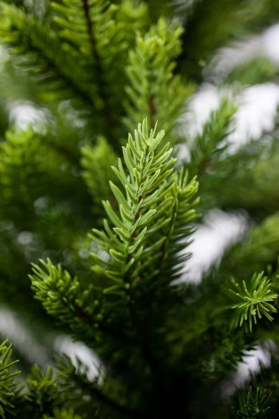 Ялинка штучна Лора-210 лита хвоя зелений 