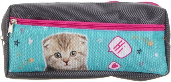 Пенал школьный на два отделения Котик, привет серый