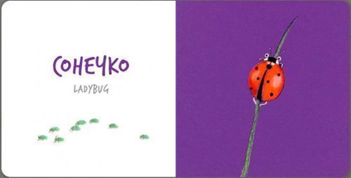 Книга Катерина Таберко «Комахи» 978-617-7395-16-3