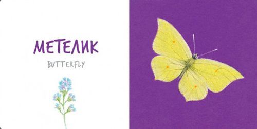 Книга Катерина Таберко «Комахи» 978-617-7395-16-3