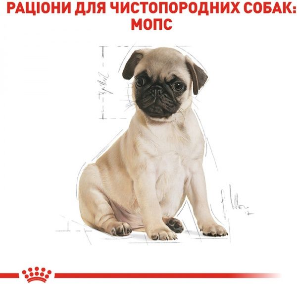 Корм Royal Canin для щенков PUG PUPPY (Паг Паппи), 0,5 кг
