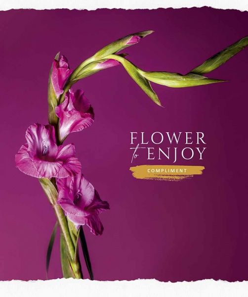 Зошит шкільний B5 60 аркушів у клітинку STAR